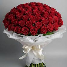 Букет 101 Красная роза Блэк Мэджик в Теплой Горе