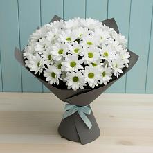 Букет цветов из:  Хризантемы в Теплой Горе
