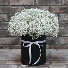 Цветочная композиция из Гипсофила в шляпной коробке в Теплой Горе