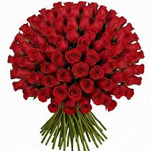 Букет Красные розы Чери Лав #REPLACE_PRED# Теплой Горе