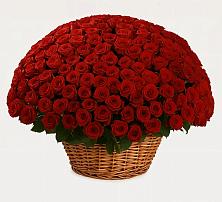 Премиум букет из: Розы в Теплой Горе