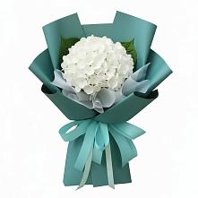 Букет цветов из:  Гортензия #REPLACE_PRED# Теплой Горе